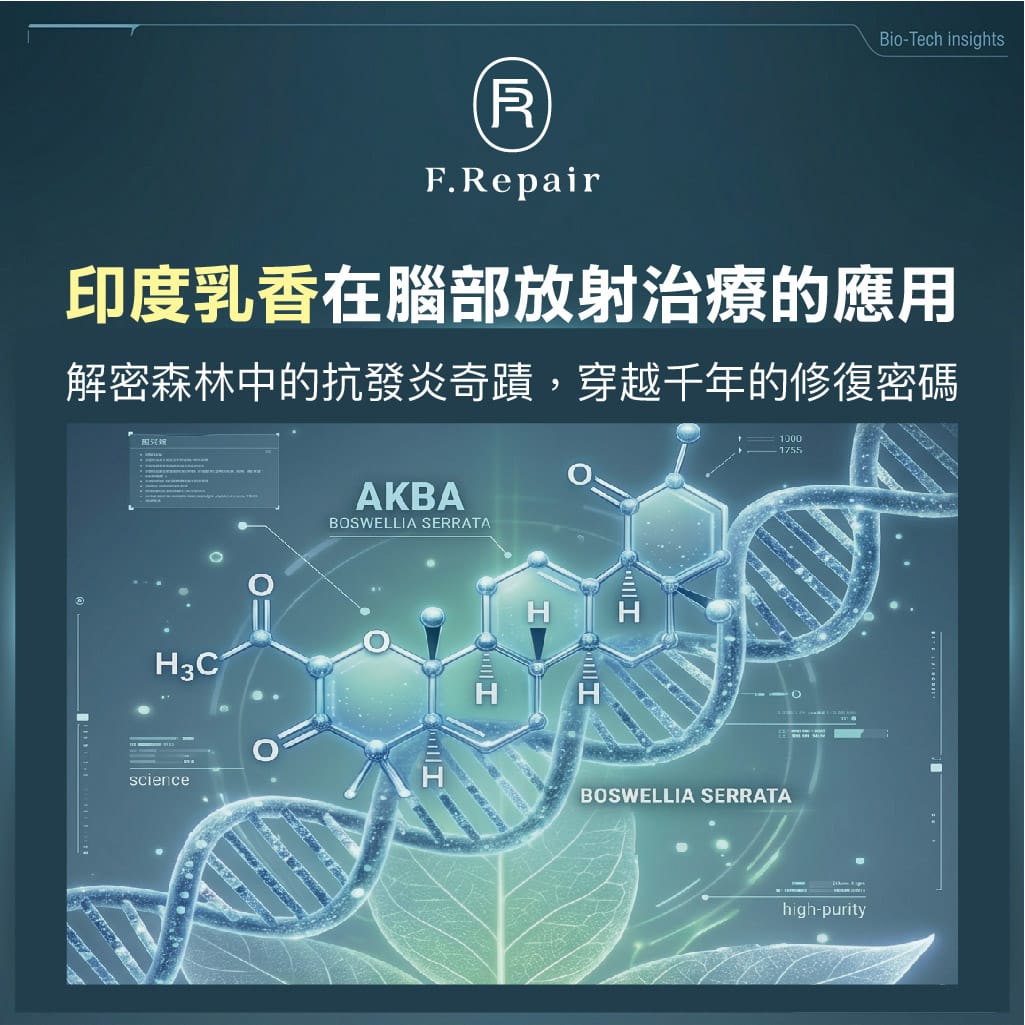 小芙乳香一(改)